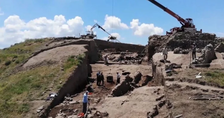 İrlandiyada ən böyük vikinqlər şəhəri kəşf edilib