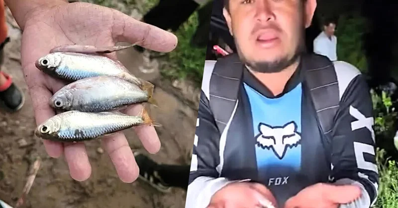 В Гондурасе прошел рыбный дождь ВИДЕО