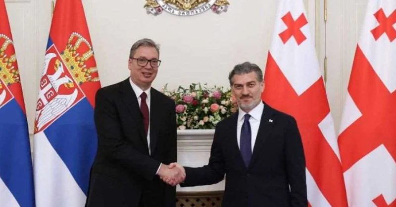 Gürcüstan və Serbiya prezidentlərinin görüşündə regional təhlükəsizlik məsələləri diqqətdə olub