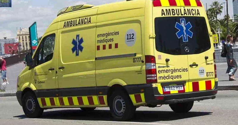 В ДТП в Бразилии погибли семь баскетболистов