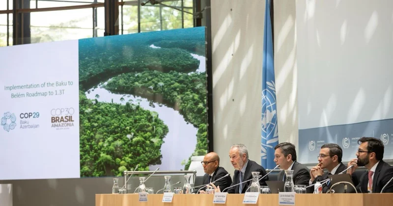 Azərbaycan nümayəndə heyəti İqlim Danışıqları üzrə Bonn sessiyasında iştirak edib FOTOLAR