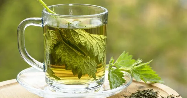 Gicitkən çayı kimlər içməlidir?