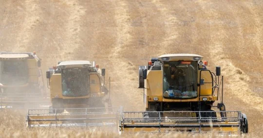 Məcnun Məmmədov Sabirabadda taxıl biçini ilə bağlı aparılan işləri yerində izləyib