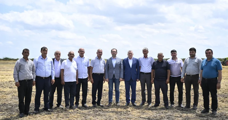 Buğda üzrə orta məhsuldarlıq ötən illə müqayisədə 19,5 faiz artıb