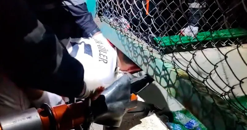 В Баку голова ребенка застряла в ограждении стадиона ВИДЕО