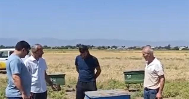 “Kimsə gəlib zəhərlə arıların hamısını qırıb...” Video