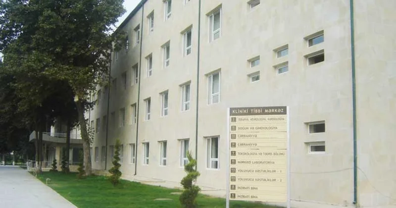 Женщина, впавшая в кому после укуса пчелы, пошла на поправку