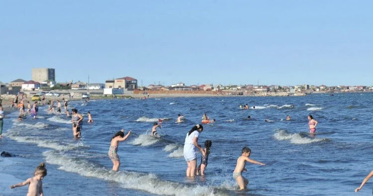 Azərbaycanda qadın QHT sədri dənizdə bu canlı ilə üz üzə qaldı, dəhşət yaşadı FOTO