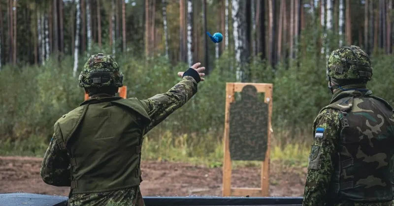 Эстония закупит у Rheinmetall ручные гранаты