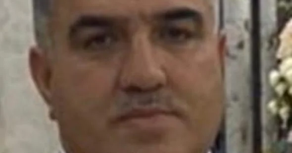 Qızıl kimi insan (Esse)