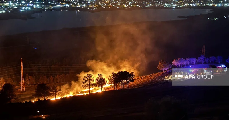 Bakıda Xocahəsən gölü ətrafında yanğın baş verib FOTO VİDEO