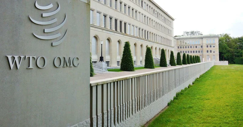 ВТО оценила рост мировой торговли товарами