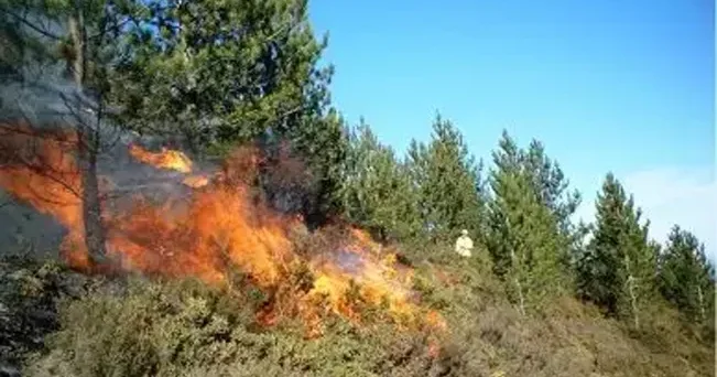 Dağlıq ərazidə güclü yanğın başlayıb