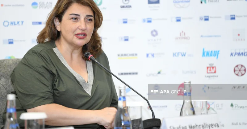 Şəfəq Mehralıyeva: Kommunikasiya və rəqəmsal media üzrə insan kapitalı formalaşmalıdır