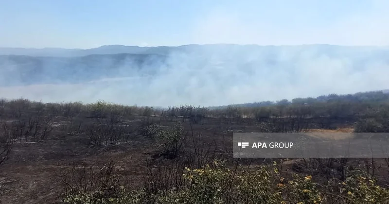 Cəlilabadda dağlıq ərazidə yanğın başlayıb FOTO VİDEO YENİLƏNİB