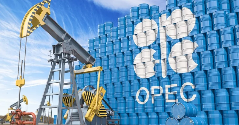 D. Tramp: OPEC də qalmaq İraqın öz qərarıdır