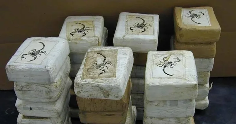 Власти Мексики ответили на обвинения главы DEA