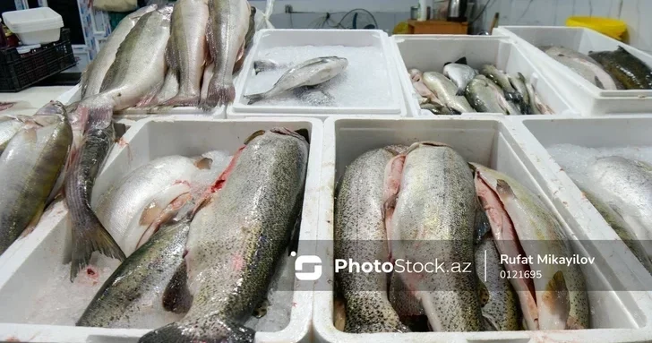Конец обману на прилавках: в Азербайджане вводят строгий цифровой учет рыбы