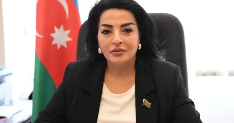 Böyük Qayıdış Proqramının uğurla icrası güclü dövlət idarəçiliyinin və strateji planlaşdırmanın real nəticəsidir Millət vəkili