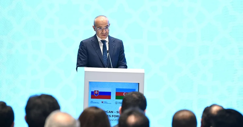 Mikayıl Cabbarov: Gələn ilin ortalarınadək Ələt Azad İqtisadi Zonasının ərazisində müasir beynəlxalq hava limanının istifadəyə verilməsi gözlənilir