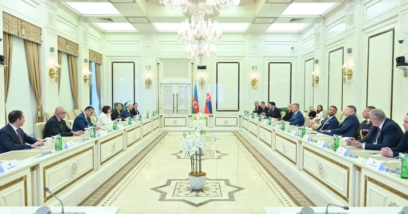 Milli Məclisin sədri Slovakiya Prezidenti ilə görüşüb