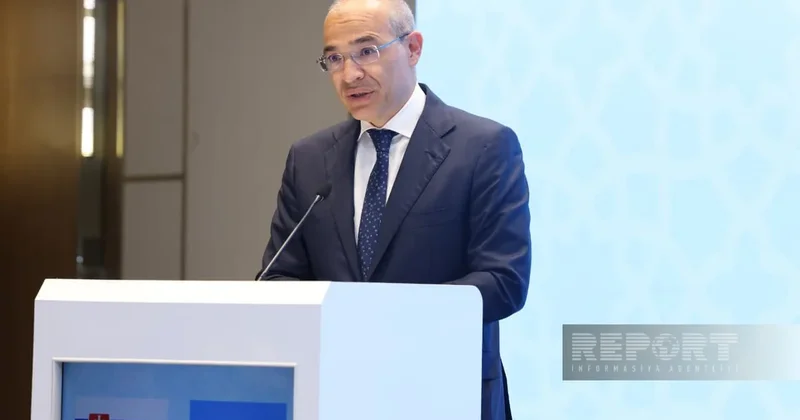 Министр экономики Азербайджана назвал приоритеты сотрудничества со Словакией
