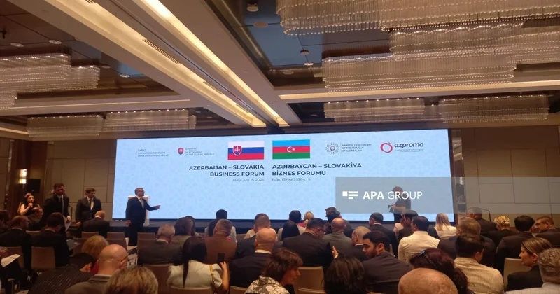 Названы перспективные направления сотрудничества Баку и Братиславы