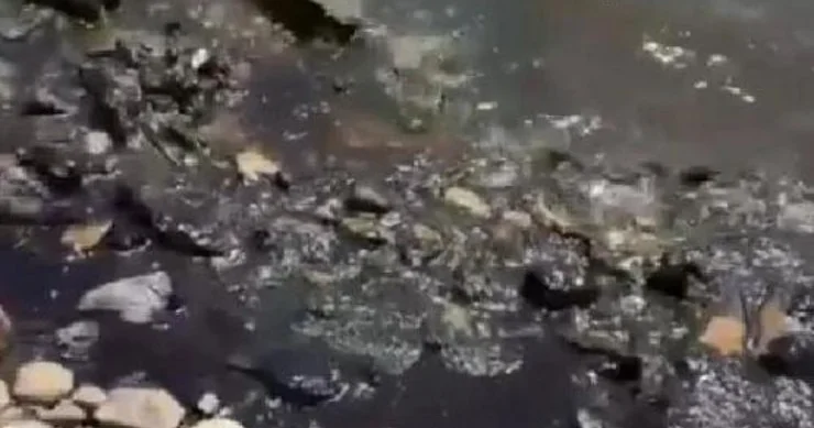 Ukrayna PUA ları Kubanda fövqəladə vəziyyət yaradıb VİDEO