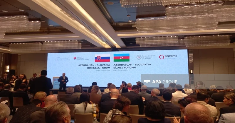 Slovakiya şirkətləri Azərbaycan bazarında uzunmüddətli tərəfdaşlıq axtarır