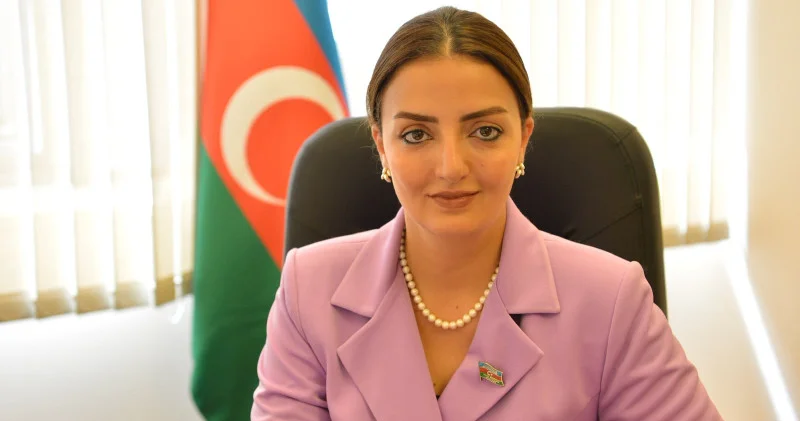 “Qərəzli kampaniyaların heç bir nəticə vermədi”