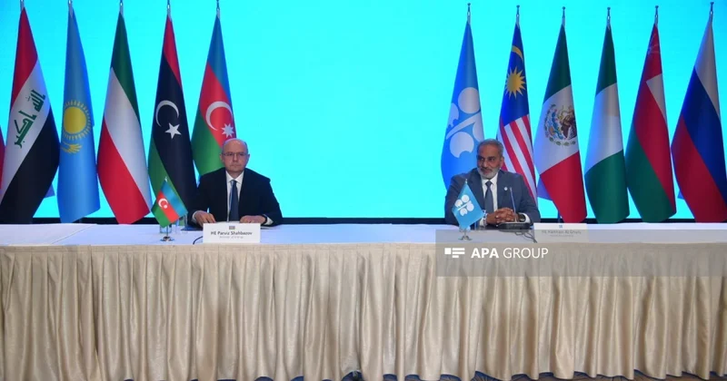 Nazir: Azərbaycanın enerji sahəsində əsas dəyəri etibarlı tərəfdaşlığıdır