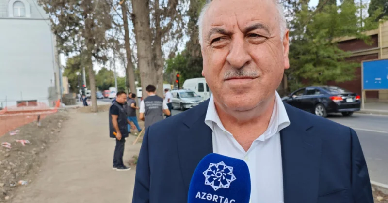İdarə Heyətinin sədri: Gəncədə qurumuş ağaclar nömrələnir, pilot layihə sui istifadə hallarının qarşısını alacaq