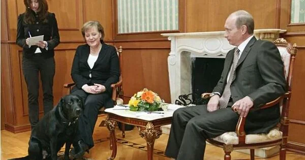 Putin Merkellə görüşə itini gətirmişdi, Trampla isə… KİV