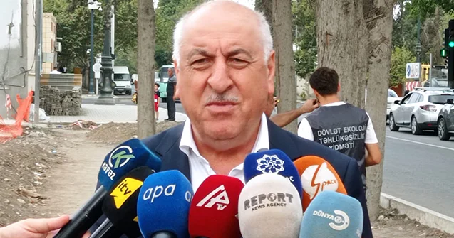 Gəncədə qurumuş ağaclar nömrələnir Fotolar KONKRET
