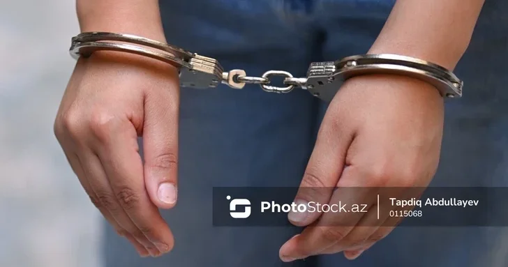 Необычное дело в Товузе: мужчина арестован после конфликта из за соседского кота