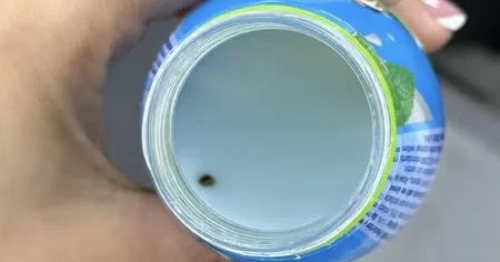 “Azərsüd” ayranının içindən qurd ÇIXDI FOTO