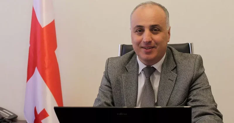 Грузинский депутат: Цель оппозиции не выборы, а революция