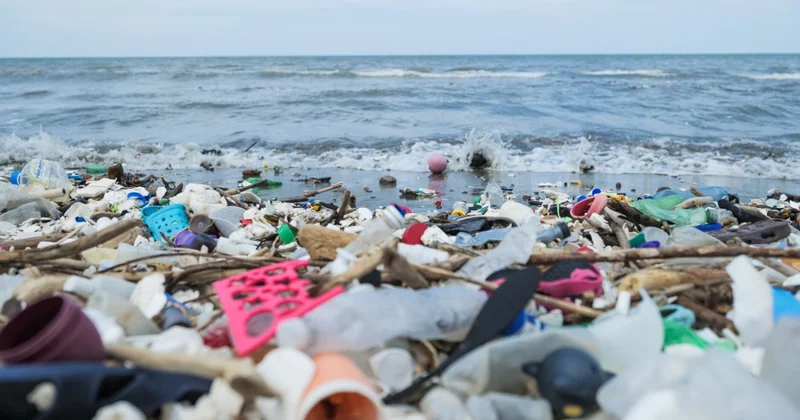 BMT nin plastik tullantılarla bağlı sazişinə dair Cenevrədə keçirilən danışıqlar nəticəsiz başa çatıb