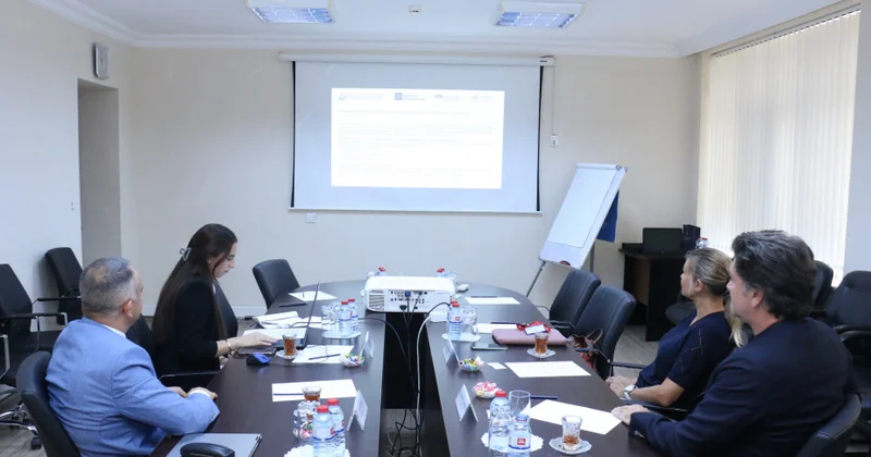 Qətərin investisiya şirkəti ilə əməkdaşlıq imkanları müzakirə edilib