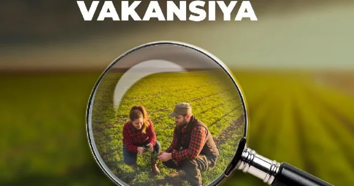 İşçilərə ən yüksək maaşı hansı sahələrdə təklif edirlər? Median maaş 750 manatdır