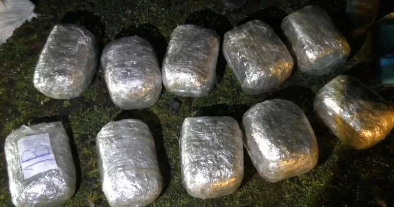 Polis 32 kiloqramdan artıq narkotik vasitə aşkarladı