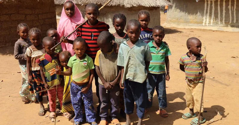 Qərbi Afrikada iqlim fəlakəti: 32 milyon insan evini tərk edə bilər