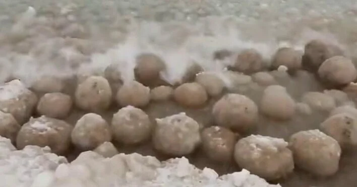 Океан из тысяч округлых ледяных образований ВИДЕО