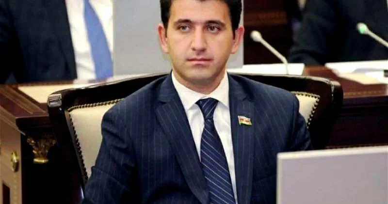 “Azərbaycan sülhə məcbur etmək siyasətini uğurla həyata keçirir”
