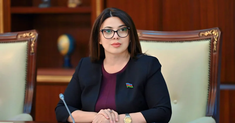 Səbinə Salmanova: “Prezidentin səfəri xalqla birbaşa təmasın, dövlət vətəndaş əlaqələrinin canlı nümunəsidir