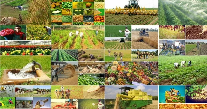 Kənd təsərrüfatı xərcləri 9 % dən çox azaldılır