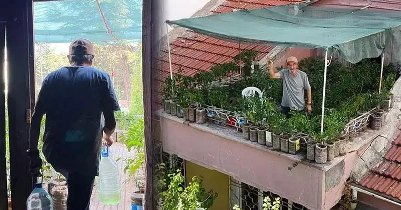 Görənlər heyran olur: 18 kvadratmetrlik balkonda gözəllik yaradıb
