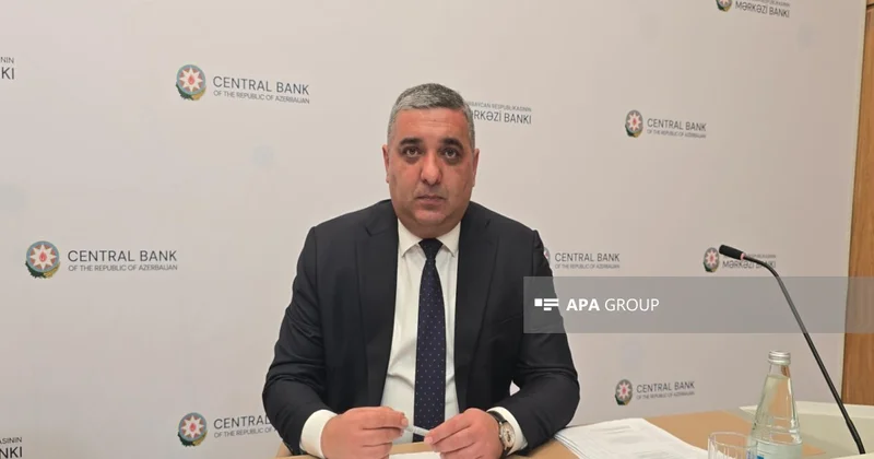 AMB: Bu il xaricə birbaşa investisiyaların böyük hissəsi İtaliyaya yatırımla bağlı olub