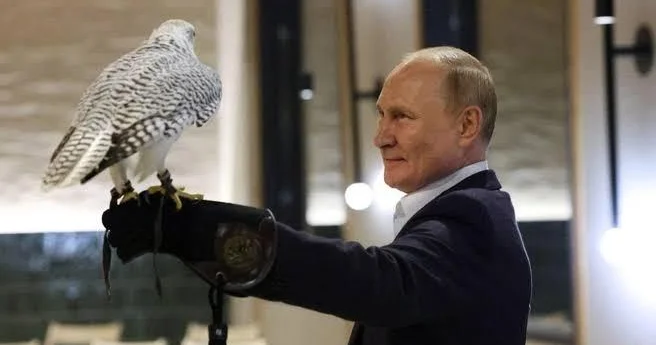 Putinin Qətər əmirinə bağışladığı qızılquş bəy kimi yaşayır