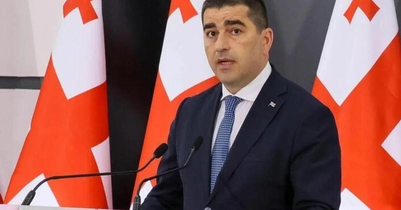 Gürcüstan hakimiyyəti daha bir müxalifət partiyasının qadağan edilməsi üçün Konstitusiya Məhkəməsində yeni iddia qaldıracaq